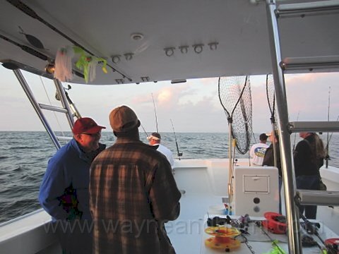 BillC pix_IMG_0118.JPG